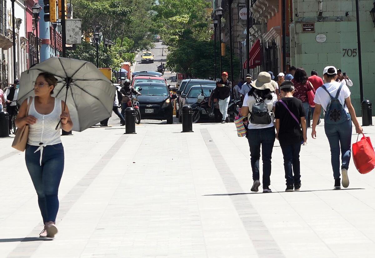 Clima para este sábado 10 de febrero | Fuente: Especial