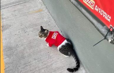 Recibe su uniforme de trabajo Silvano, la mascota de un OXXO