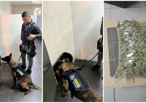 Policía de Monterrey localiza mariguana en baño de tienda de conveniencia