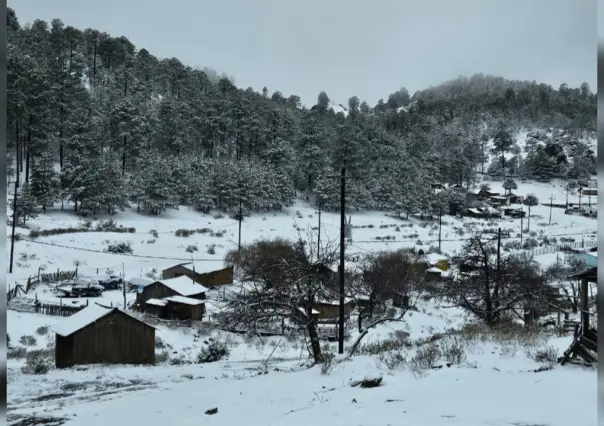 Amanece nevada la Sierra de Durango