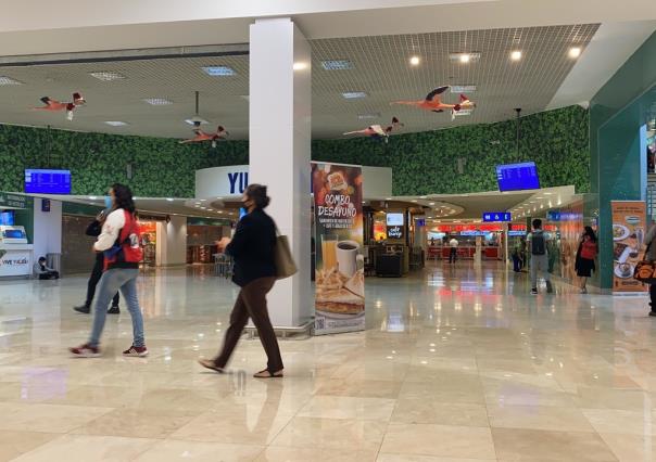 Más de 11 mil pasajeros por día ha recibido el Aeropuerto de Mérida