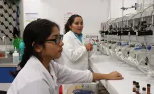 Ellas son las científicas yucatecas reconocidas a nivel internacional