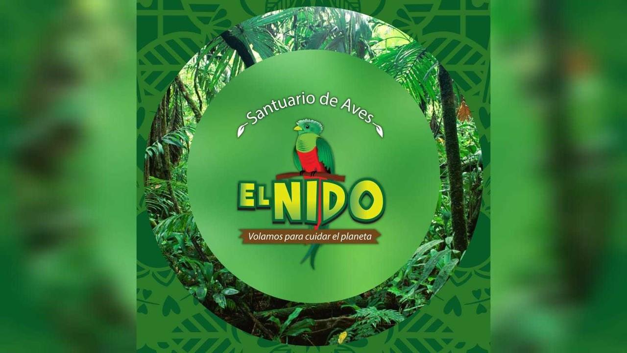 PROFEPA levanta clausura al santuario de aves El Nido. Foto: El Nido