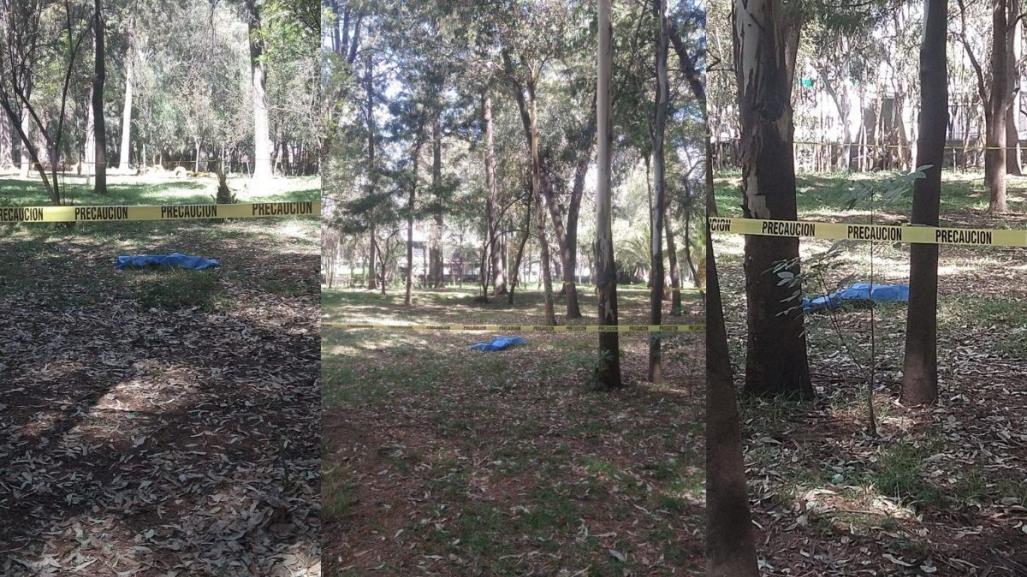 Hallan desollado a otro perro en Bosque de Nativitas; van 23 en 8 meses