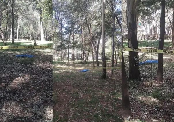 Hallan desollado a otro perro en Bosque de Nativitas; van 23 en 8 meses