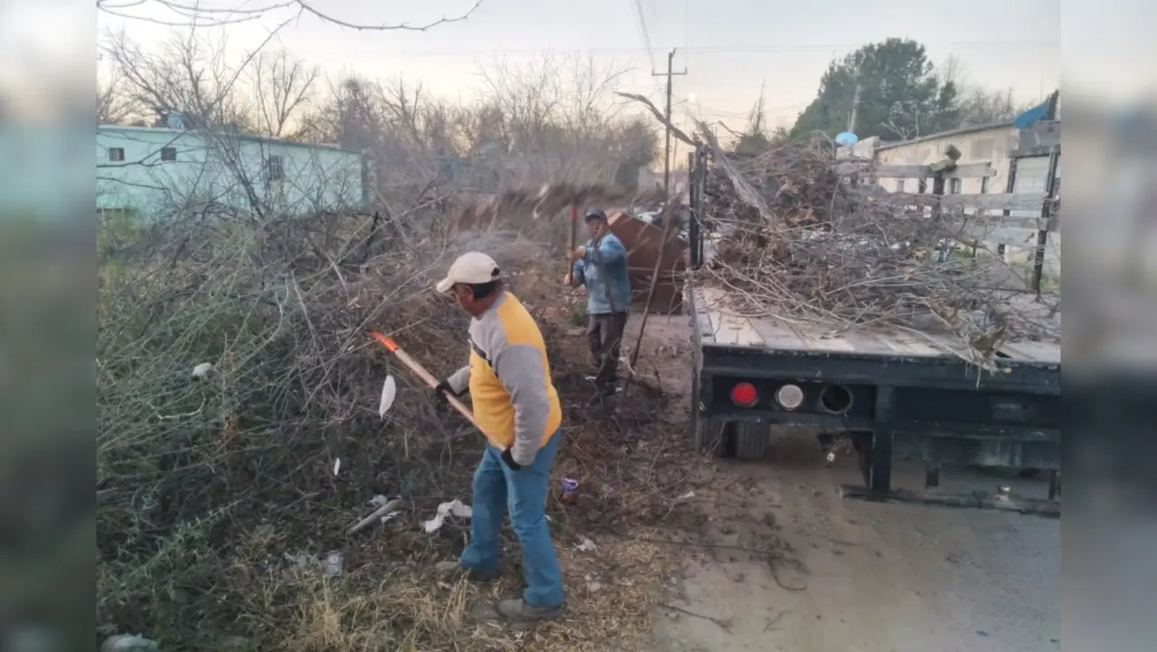 El Departamento de Ecología se encargó de la limpieza del municipio / Foto: Gobierno Municipal de Nadadores