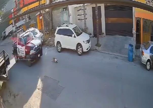 Atropella patrulla de policía a perrito y se da a la fuga (VIDEO)