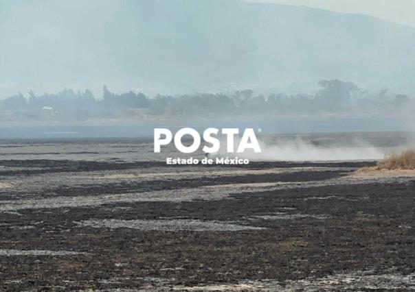 Tres días y sigue el incendio en la Laguna de Zumpango (VIDEO)