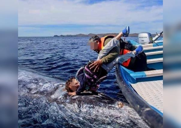 Protégete y a las ballenas: consejos para un avistamiento responsable