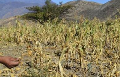 Dejarán sin agua a agricultores de Tamaulipas