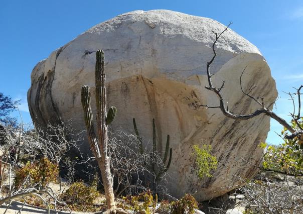 Piedra Gorda: considerada la más grande de Latinoamérica, está en BCS