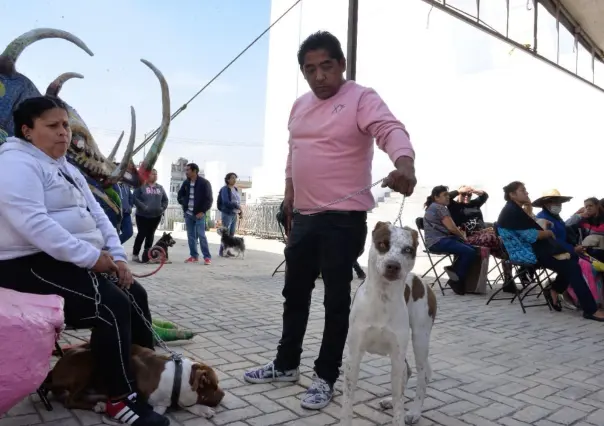 Primera carrera perrona en Neza, te decimos cómo participar