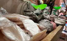 Comerciantes de pescados y mariscos listos para aumentar sus ventas