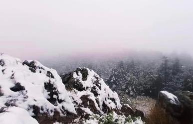 ¡La Marquesa amanece cubierta de nieve! Reportan temperaturas de 7°C