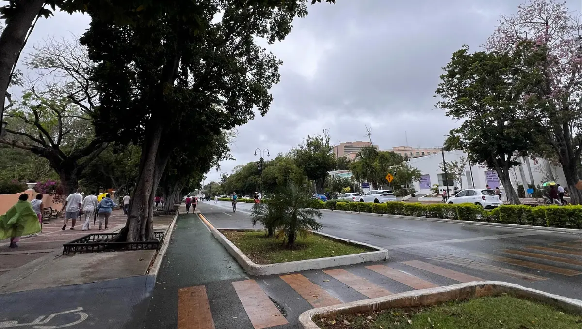 El frente frío trae vientos fuertes y lluvias Fotos: Irving Gil