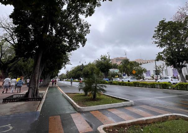 Frente Frío “Chiikam” dejó sentir su furia sobre Mérida