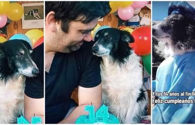 Dueño de perrito Pipo celebra 14 años de amor y gratitud en TikTok (VIDEO)