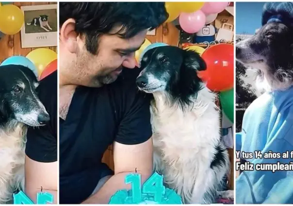 Dueño de perrito Pipo celebra 14 años de amor y gratitud en TikTok (VIDEO)