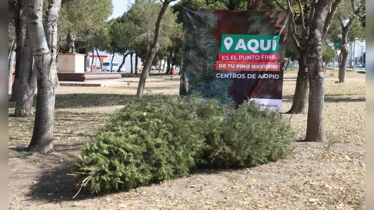 Esta iniciativa busca fomentar la participación ciudadana en el reciclaje y contribuir al cuidado del medio ambiente / Foto: Gobierno Municipal de Saltillo