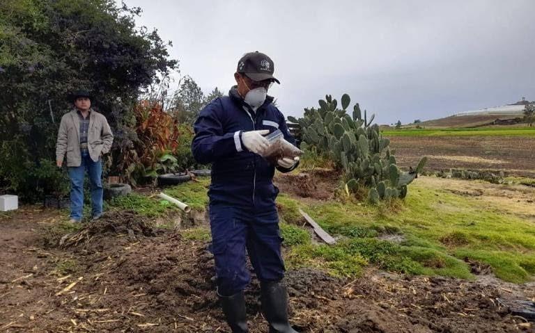 Este 19 de febrero obtendrán los resultados del análisis. Imagen: Saderh