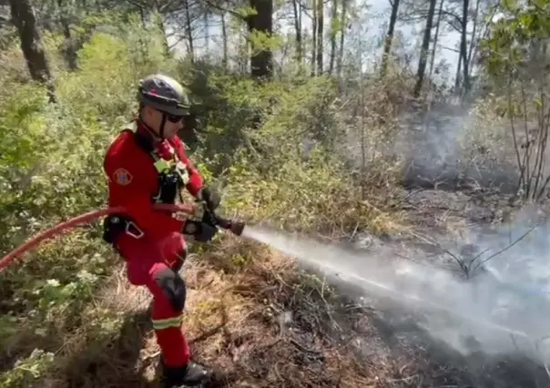 Incendio forestal en la Sierra de Santiago, Nuevo León: Protección Civil en acción