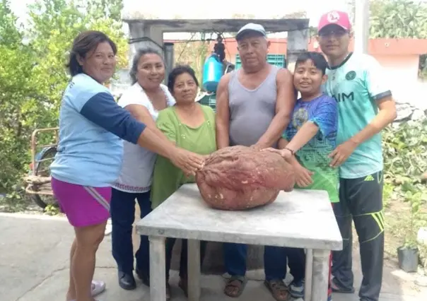 Yucateco se vuelve viral en redes por vender un camote de 22 kilos