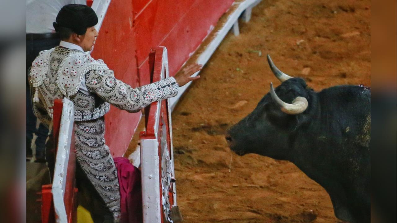 El regreso de las corridas de toros a Coahuila ha sido un tema de debate en la actual legislatura del Congreso del Estado / Foto: Leslie Delgado