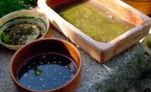 ¿Cómo identificar un criadero de mosquitos del dengue?