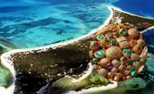 Conoce el Tesoro de Alacranes, descubierto en un arrecife en Yucatán