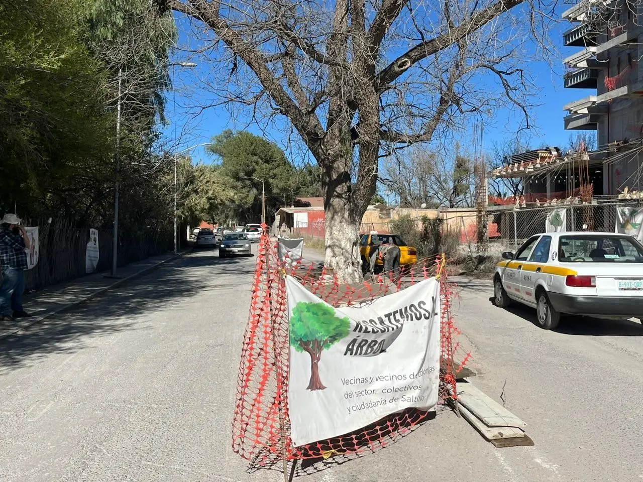 Cercaron el árbol para evitar que fuera cortado. Foto de Leslie Delgado.