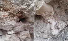 Encuentran posibles fósiles de mamut en Tamaulipas