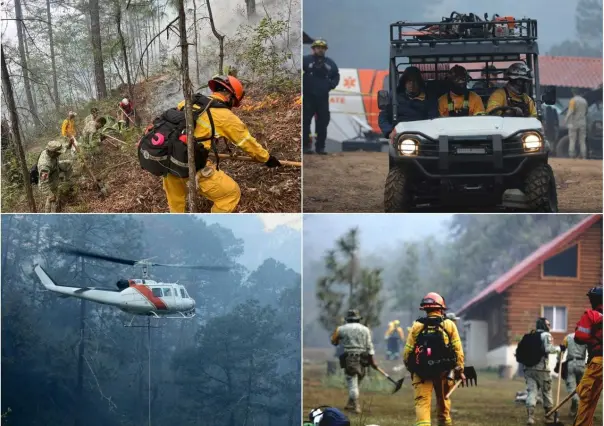 Protección Civil avanza en combate a incendio en Carretera a Cola de Caballo