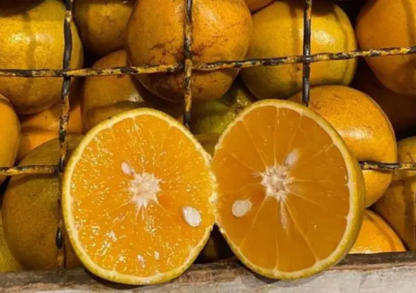 ¿Por qué se les dice chinas a las naranjas dulces en Yucatán?