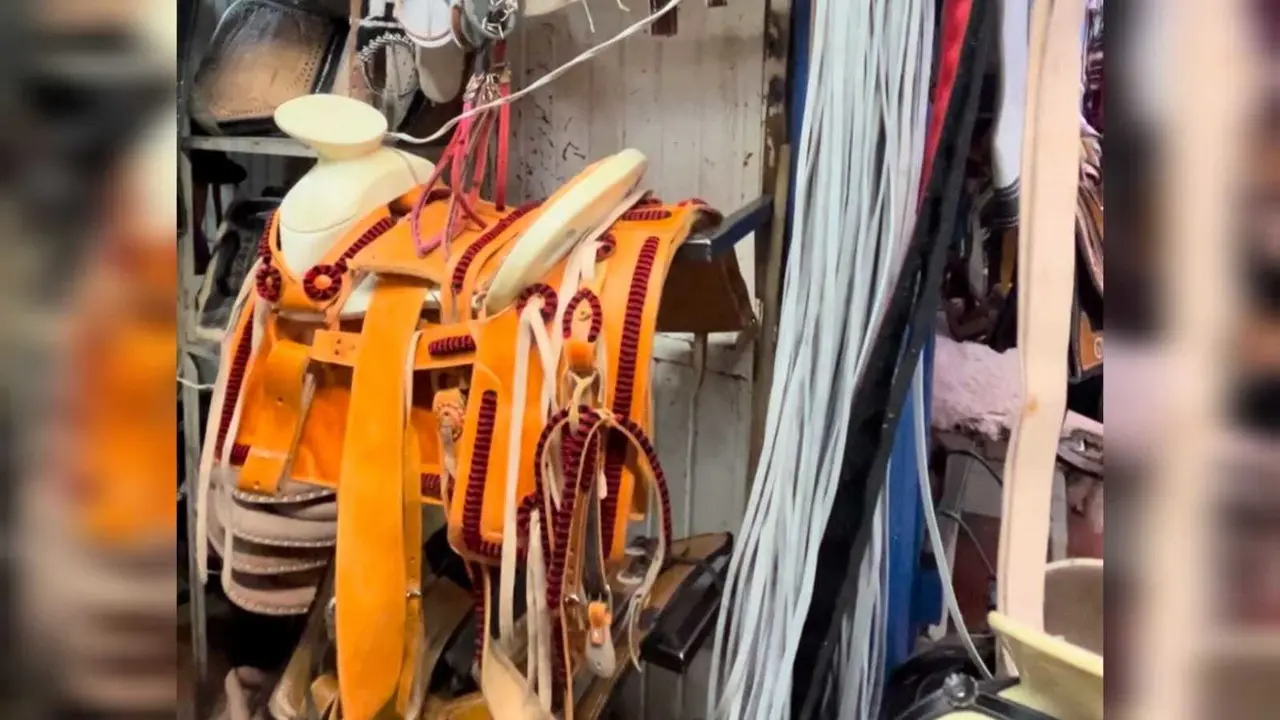 Talabartería en peligro de extinción