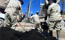 Bacheo Tras Fuga: mil 335 baches reparados en Los Cabos
