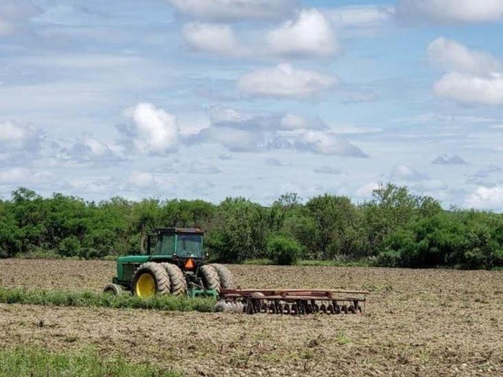 Buscan estrategias de siembra para garantizar buena cosecha a falta de agua. Foto: web