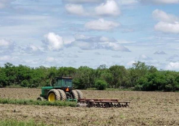 Los productores de Camargo apuestan por el sorgo y el maíz ante escasez de agua