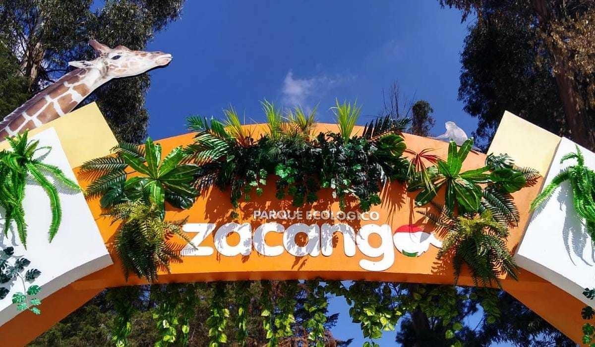 Vive la aventura en Zacango con el Campamento Familiar. Foto: Especial