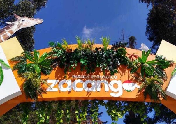 Vive la aventura en Zacango con el Campamento Familiar