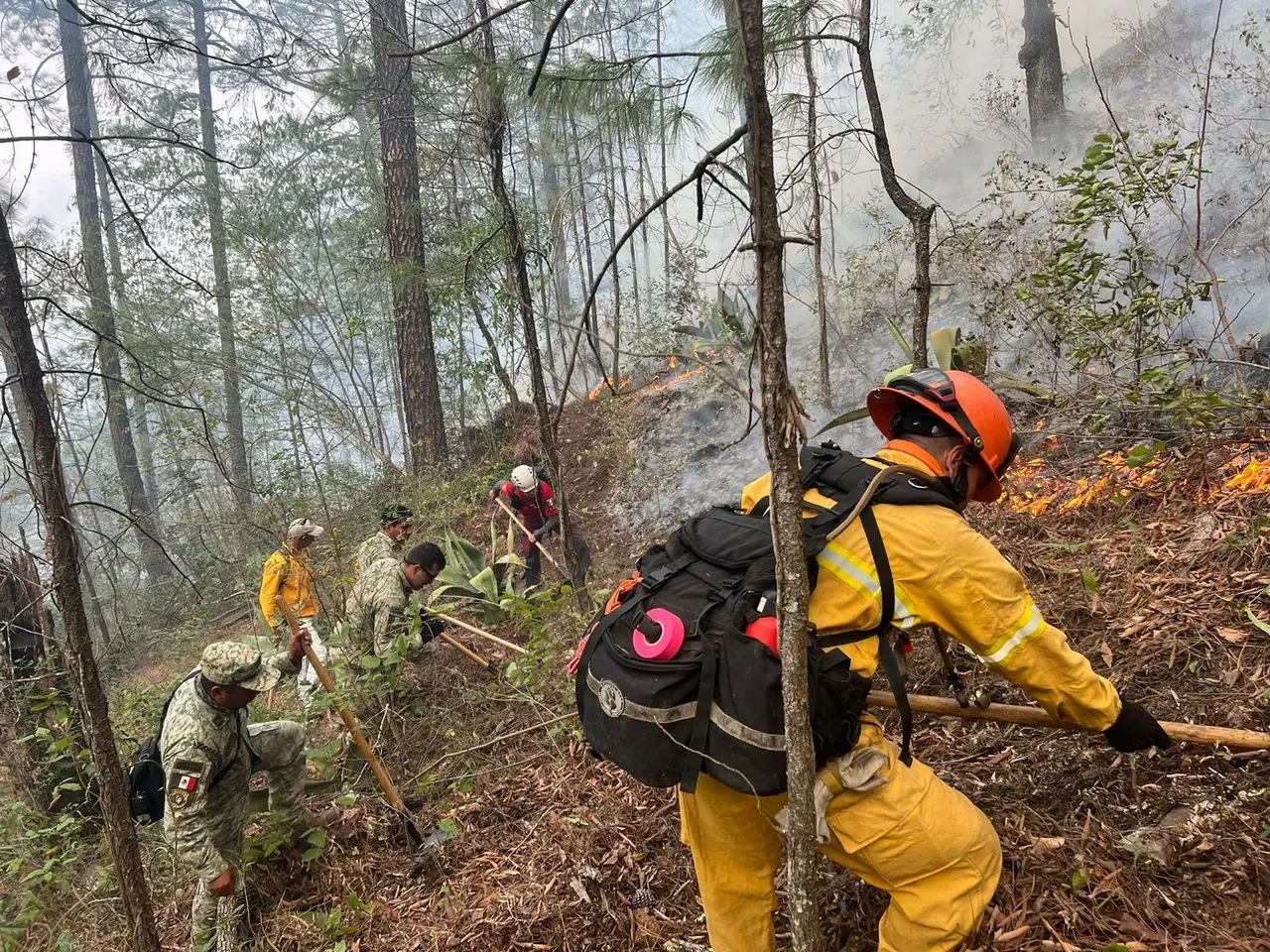 Incendio forestal en ejido Mauricios: brigadistas trabajan sin descanso. Fotos. Cortesía