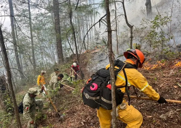 Protección Civil Nuevo León combate incendio en Las Adjuntas: 14 hectáreas afectadas