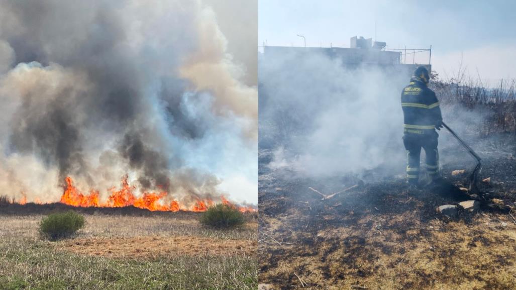 ¡Arde Xochimilco! Reporte de incendio forestal luego de contingencia ambiental