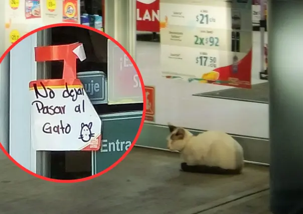 ¡Cuidado con el michi! Prohíben a un gato la entrada a un OXXO