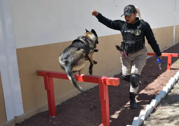 Entra en operación el pimer refugió para animales víctima de violencia en Neza
