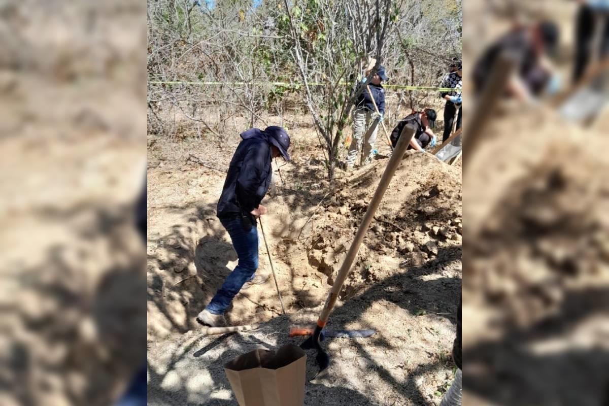 Fosa clandestina en Los Cabos. Foto: Gobierno de BCS