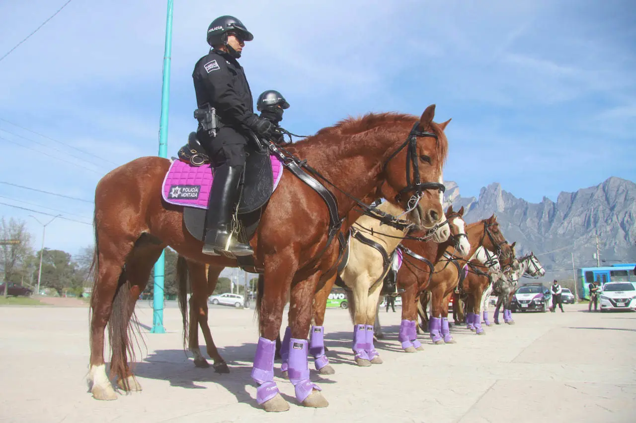 García: presentan nuevo grupo de policía montada para mejorar seguridad (VIDEO)