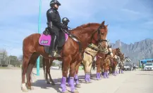García: presentan nuevo grupo de policía montada para mejorar seguridad (VIDEO)