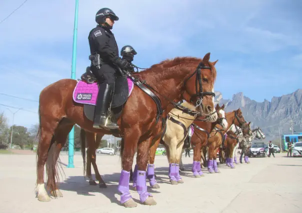 García: presentan nuevo grupo de policía montada para mejorar seguridad (VIDEO)