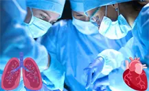 Día Mundial del Trasplante de Órganos y Tejidos: Regios salvando vidas Día Mundial del Trasplante de Órganos y Tejidos: Regios salvando vidas