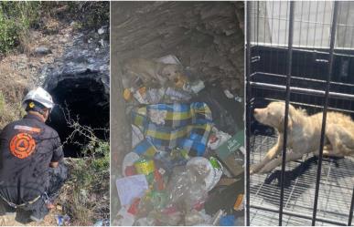 Rescatan a perrito en pozo tipo noria lleno de basura en La Estanzuela (VIDEO)